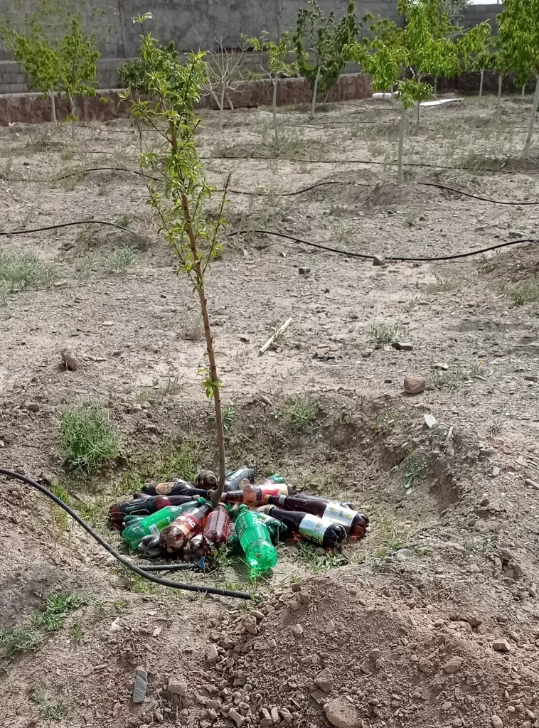 بطری بازیافتی برای کاهش خشکی خاک