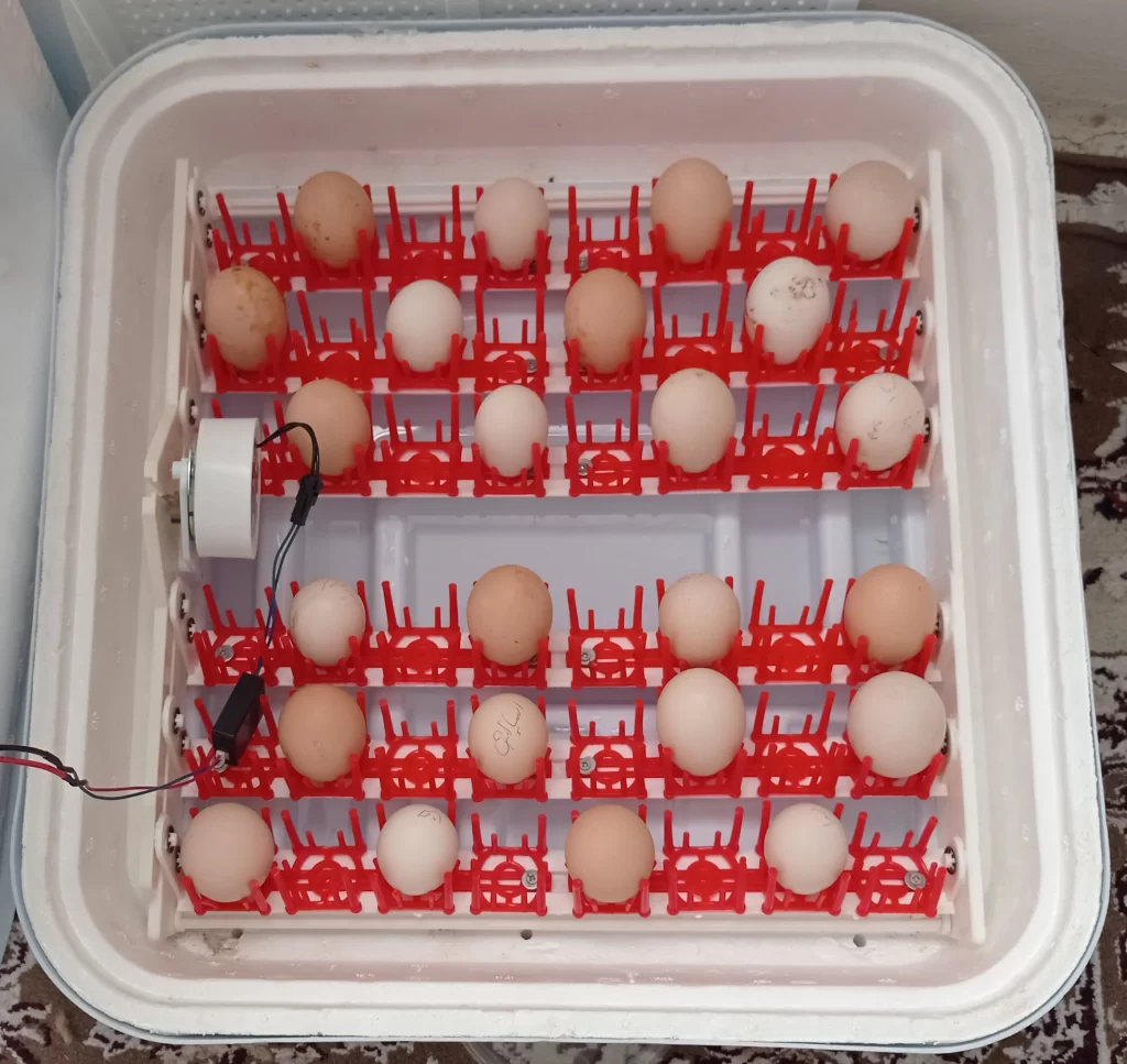 تخم‌مرغ‌های جدید در دستگاه